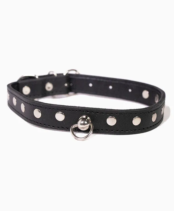 Bound Signature Petite Collar with Studs